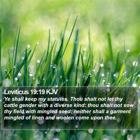 Leviticus 19 kjv - Leviticus 19:32 KJV Copy Print Similar Verses Save. ... Wesley's Notes for Leviticus 19:32. 19:32 Rise up - To do them reverence when they pass by, for which end they were obliged, as the Jews say, presently to sit down again when they were past, that it might be manifest they arose out of respect to them. Fear thy God - This respect is due to ...